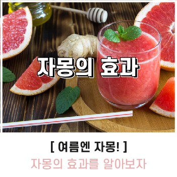 식단정보-3